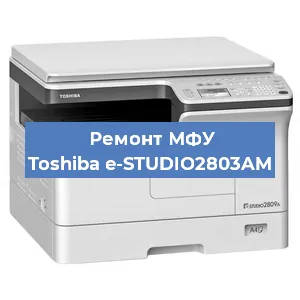 Замена вала на МФУ Toshiba e-STUDIO2803AM в Волгограде